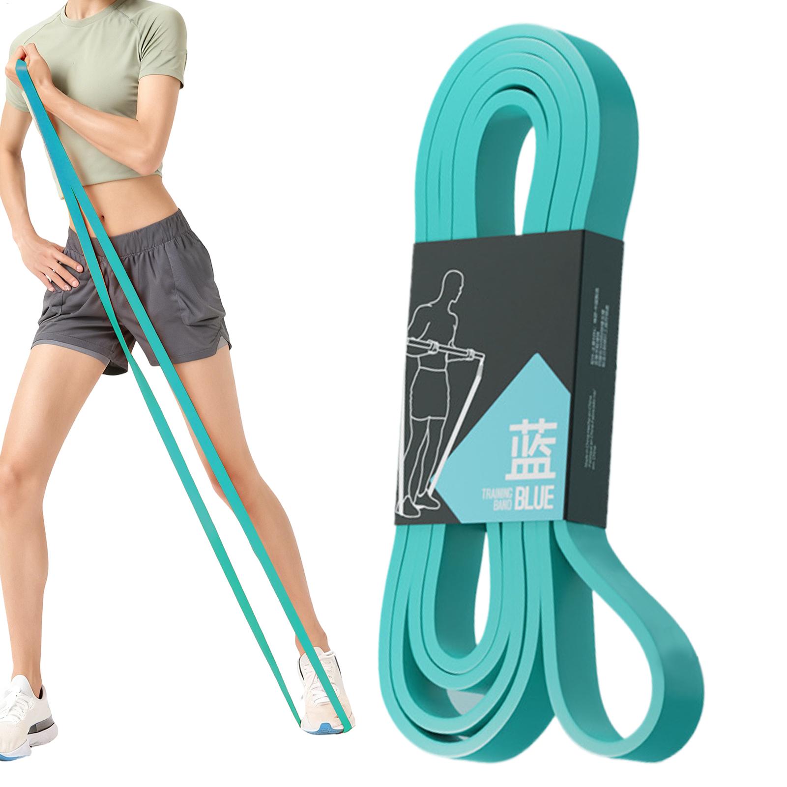 Workout Resistance Bands Elast - Pull Up Assist Band 리뷰 및 가격